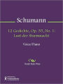 12 Gedichte, Op. 35, No. 1: Lust der Sturmnacht