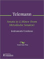 Sonata in G Minor (from Metodische Sonaten)