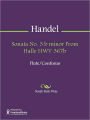 Sonata No. 3 b minor From Halle HWV 367b