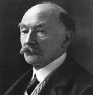 Thomas Hardy's Fiction: all 20 books