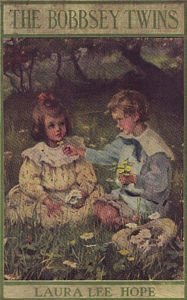 The Bobbsey Twins or Merry Days Indoors and Out