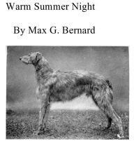 Title: Warm Summer Night, Author: Max G. Bernard