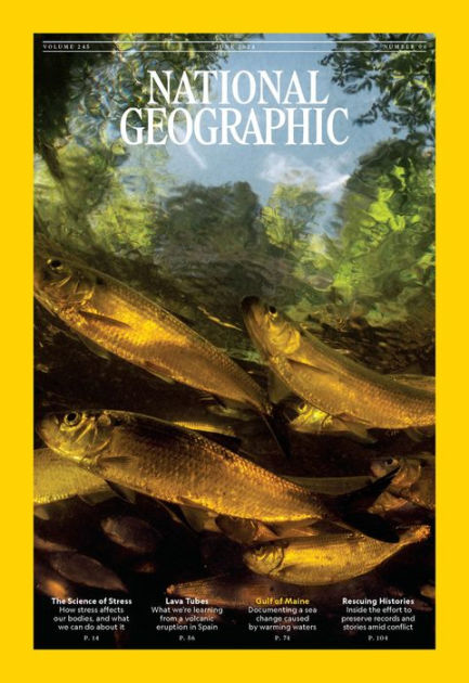 National Geographic, NOOK Magazine