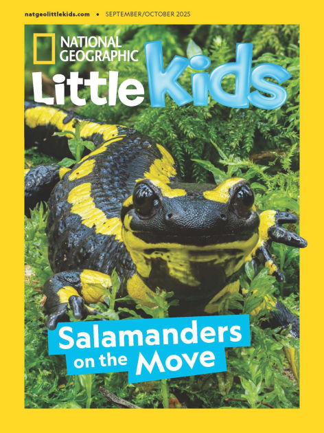National Geographic kids preとUsborne 80冊 National Geographic Readers: Swing Sloth!: Explore the Rain