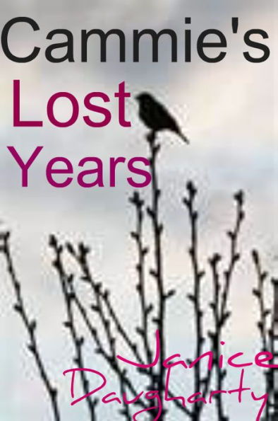 Cammie's Lost Years