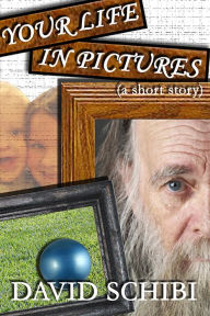 Title: Your Life In Pictures, Author: David Schibi