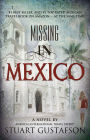 Missing in Mexico
