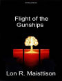 Flight of the Gunships
