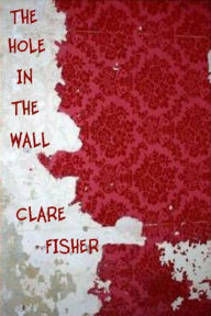 Title: The Hole in the Wall, Author: Clare Fisher