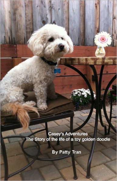 Casey's Adventures The Story of the life of a toy golden doodle