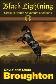 Title: Black Lightning, Author: David and Linda Broughton