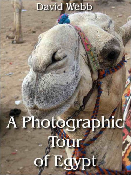 A Photographic Tour of Egypt