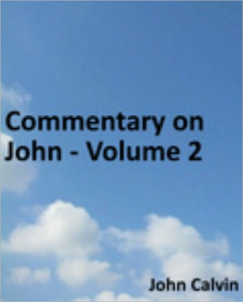 Commentary on John - Volume 1