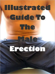 Illustrated Guide To The Male Erection