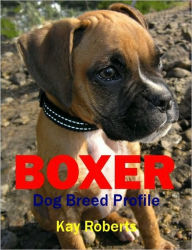 Boxer Dog Breed Profile