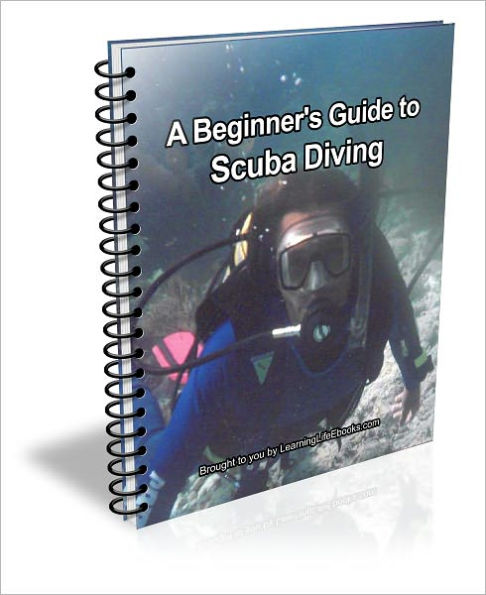 A Beginner's Guide to Scuba Diving