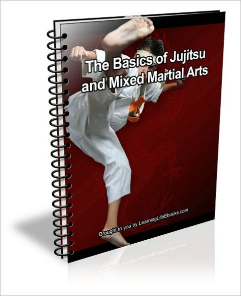 The Basics of Jujitsu and Mixed Martial Arts