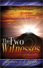 The Two Witnesses