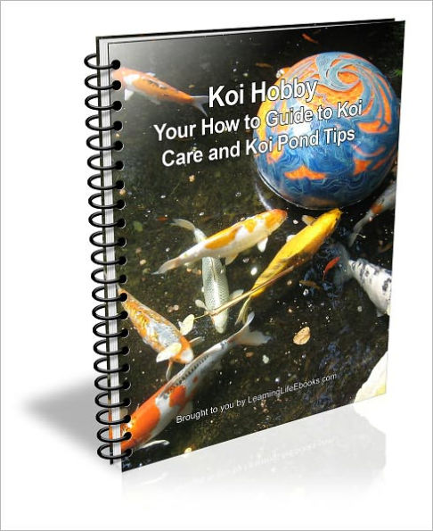 Koi Hobby: Your How to Guide to Koi Care and Koi Pond Tips