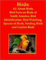 Birds: All About Birds, Bird Facts on Birds of North America, Bird Identification, Bird Watching, Species of Birds, Feeding Birds and Garden Birds