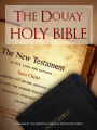 CATHOLIC HOLY BIBLE FOR NOOK IN COLOR THE DOUAY HOLY BIBLE FOR NOOK ILLUSTRATED (Douay-Rheims Douay DR) (Special Nook Edition with MasterLink Technology): Complete Old Testament & New Testament (ILLUSTRATED IN COLOR) Bible Nook / The Holy Bible NOOKbook
