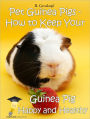 Pet Guinea Pigs - How to Keep Your Guinea Pig Happy and Healthy