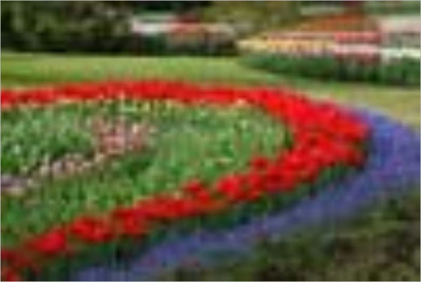 The American Flower Garden PLUS Culinary Herbs - Their Cultivation, Harvesting, Curing and Uses