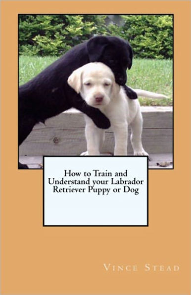 How to Train and Understand your Labrador Retriever Puppy or Dog
