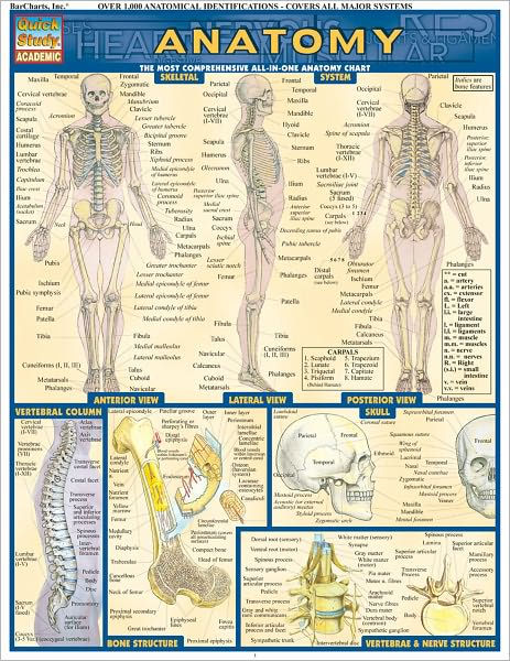Anatomy by Vincent Perez | NOOK Book (eBook) | Barnes & Noble®