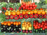 Home Vegetable Gardening