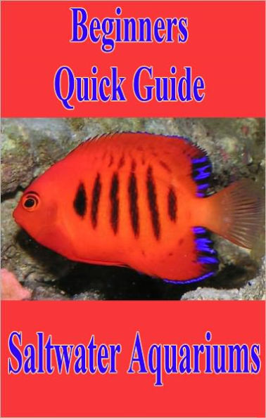 Beginners Quick Guide To Saltwater Aquariums