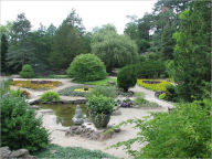 Rock Gardens for Beginners