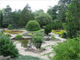 Rock Gardens for Beginners