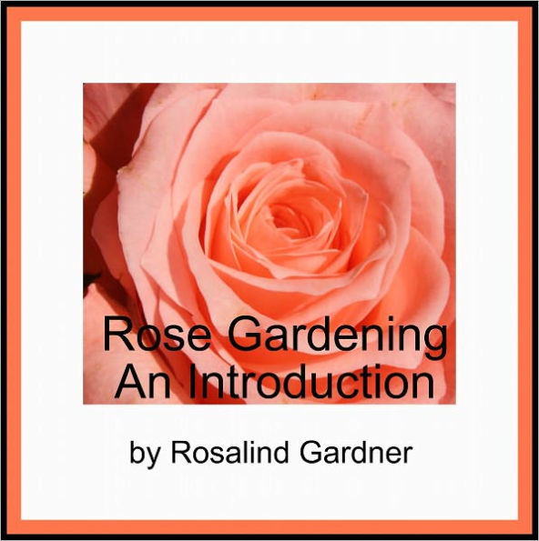Rose Gardening – An Introduction