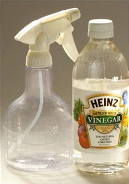 Vinegar for Cleaning