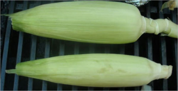 How to Grill Corn on the Cob