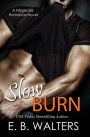 Slow Burn (book #1 The Fitzgerald Family)