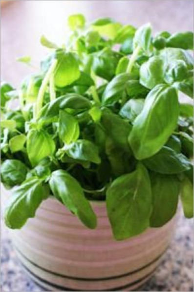 Container Gardening: Growing Herbs & Vegetables Indoors and Out