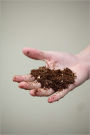 Making a Compost Pile: Time To Get Your Hands Dirty!!