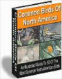 Common Birds of North America - All Illustrated Guide to 50 Of the Most Common North American Birds