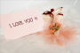 Make Your Own Wedding Favors And Wedding Gifts and Save $$$