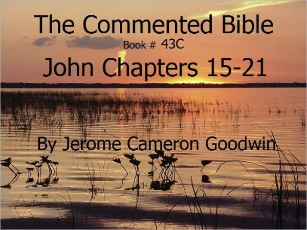 A Commented Study Bible With Cross-References - Book 43C - John