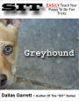 How To Train Your Greyhound To Do Fun Tricks
