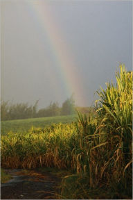 Title: Understanding Sustainable Agriculture and the Environment, Author: Grant Lamont