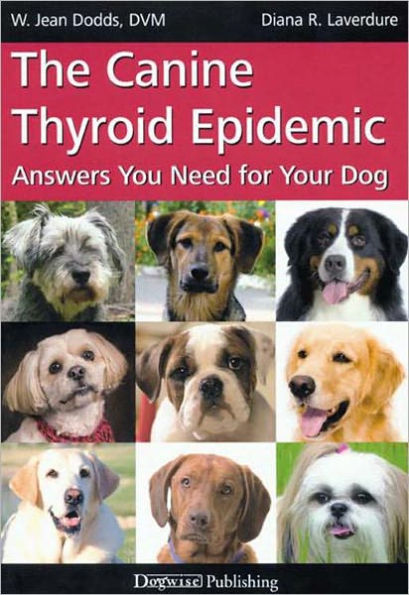 The Canine Thyroid Epidemic Answers You Need for Your Dog