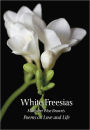 White Freesias