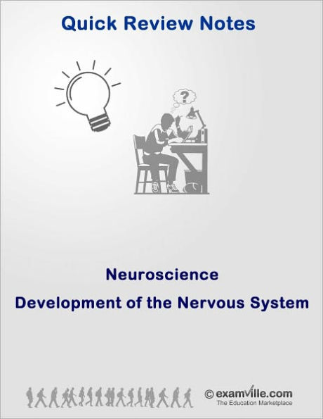 Quick Review Neuroscience: Development of the Nervous System