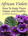 African Violets: How To Keep Them Happy and Healthy