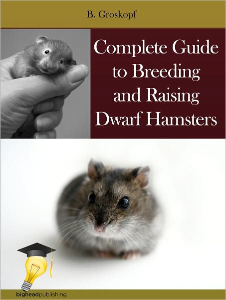 Hamster Care: The Ultimate Guide to Caring for Hamsters