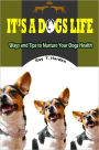 Its A Dogs Life: Your Guide to Dog Health Problems and Symptoms And Dog Behavior Problems. This Book Will Educate You About All Of The Options You Need In Taking Care Of A Dog With Healthy Homemade Dog Food For Their Diets